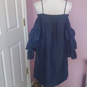 INA Denim Dress